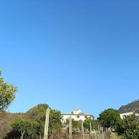 Apartment Ground Floor South 3 Min Walk From The Sea Tertenia